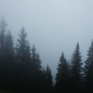 Meet your Posher, Filippa